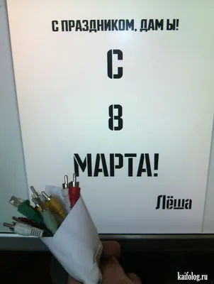 Приколы на 8 марта. Девчонки, всех с праздником! / Писец - приколы интернета картинки