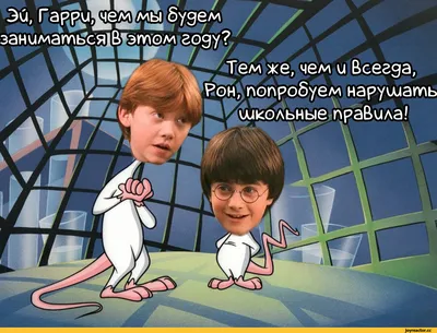 Harry Potter at the university - YouTube картинки