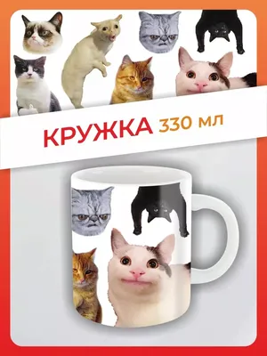 Кружка в подарок рисунок кот, кошка, котик мем приколы FAN-BOX 145079819  купить за 369 ₽ в интернет-магазине Wildberries картинки