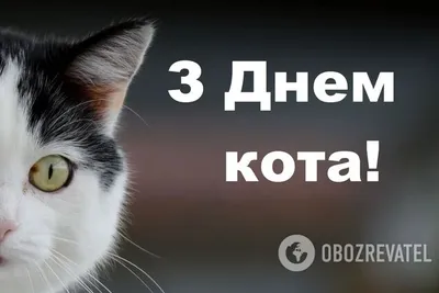 КТП-ТП: КОШКИ ЛЕЧАТ ЛЮДЕЙ 25-ЛЕТНИЙ Я: *2ДВПЖЫ КОШКУ* КОШКА: / кот :: боль  :: картинки с надписями :: спина :: смешные картинки (фото приколы) /  смешные картинки и другие приколы: комиксы, гиф картинки