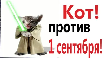 ЧЕЛЛЕНДЖ НАЙДИ КОЛБАСКУ! СМЕШНЫЕ коты МАЛЫШ и Кошка МУРКА!… | Flickr картинки