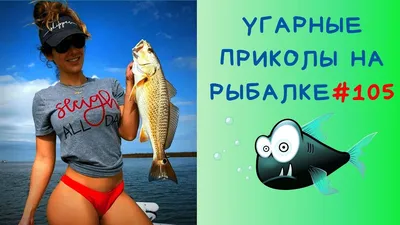 АНЕКДОТЫ ПРО РЫБАЛКУ короткие и смешные, читать онлайн бесплатно! картинки