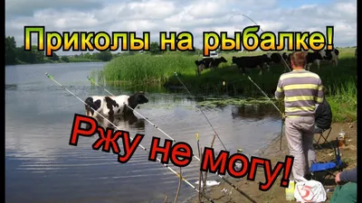 ПРИКОЛЫ НА РЫБАЛКЕ И ОХОТЕ. Смешные ситуации на рыбалке ! - YouTube картинки