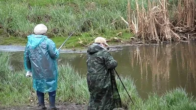 РЖУ НЕ МОГУ! Приколы на рыбалке 2021! Шок рыбалка! unexpected cases on  fishing! | Ловим рыбу | Дзен картинки