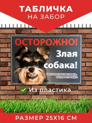 Тетрадь 48 листов в клетку \"Прикольные собаки\", обложка мелованный картон,  УФ-лак, МИКС купить в Чите Общие и школьные тетради в интернет-магазине  Чита.дети (4809125) картинки