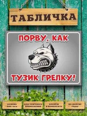 фейерверк :: приколы для даунов :: собака (собакен, песель, пес) ::  фейрверк :: смешные картинки (фото приколы) / смешные картинки и другие  приколы: комиксы, гиф анимация, видео, лучший интеллектуальный юмор. картинки