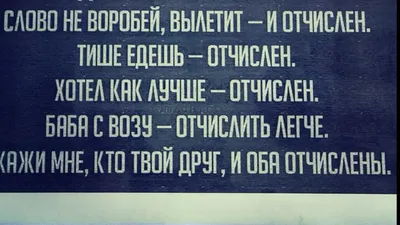 Из жизни студентов, приколы, юмор, веселые фото. | Доброе Светлое Полезное  | Дзен картинки