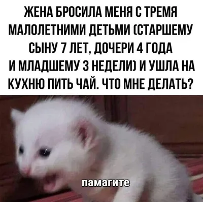 Приколы на выходные картинки