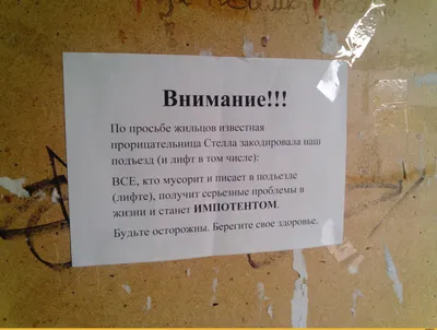 А зачем выпивать два литра воды в день, когда можно выпивать два литра  пива? Простите, но это не н / картинка с текстом :: приколы для даунов /  смешные картинки и другие картинки