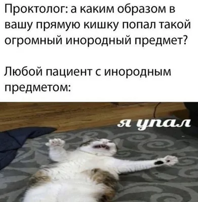 урологвасилевский #ржака #смешно #юмор #укотайка #смехсквозьрвоту #хохма  #угарно #приколы #здоровье #врачи #медики #рниму #сибгму #мгмсу… | Instagram картинки