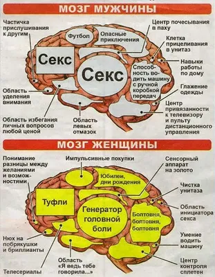 мужчины vs женщины / смешные картинки и другие приколы: комиксы, гиф  анимация, видео, лучший интеллектуальный юмор. картинки