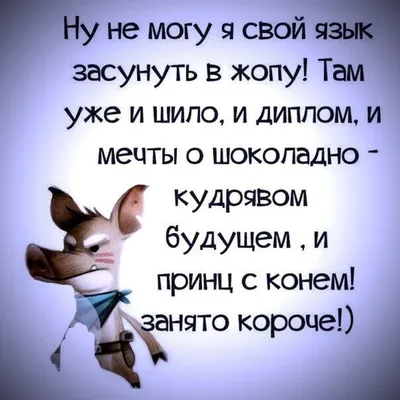 Шутки.Прикол.Юмор.Мемы.Жизнь.Jokes.Funn.Humor.Memes.A life. Chistes.El  humor.Memes.La vida. Gra… | Позитивные цитаты, Вдохновляющие цитаты,  Жизнеутверждающие цитаты картинки