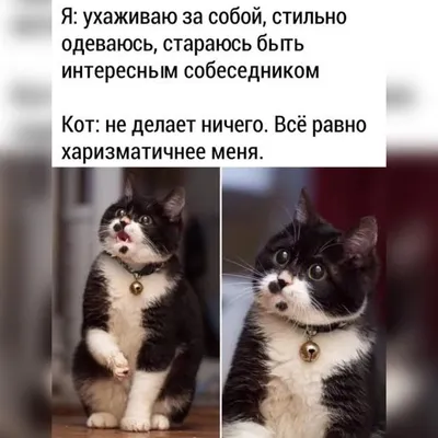 Убойные приколы, которые наполнят жизнь позитивом (42 фото) картинки