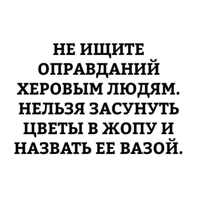 Ж1 Олег Шаповал я выкладываю картинку с котиком, желаю всем добра, а через  10 минут она уже удале / приколы вконтакте (ВКонтакте, ВК) :: позитив ::  котики :: техподдержка (приколы из техподдержки) :: картинки