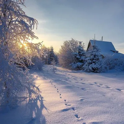 КРАСИВЫЕ КАДРЫ on Instagram: “Доброе утро, друзья! ⠀ 🌲🌟⛄❄ А за городом  зима, зима, зима!....😍❄❄ Ленинградская область. Приоз… в 2023 г | Пейзажи,  Фотография природы, Зима картинки