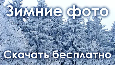 Настроение «зима»: лучшие фото природы картинки