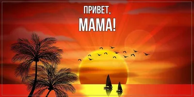 Открытка для любимых и родных Мама Привет. Открытки на каждый день с  пожеланиями для родственников. картинки