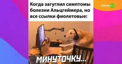 юмор #смех #приколы | Шутки, Смех картинки