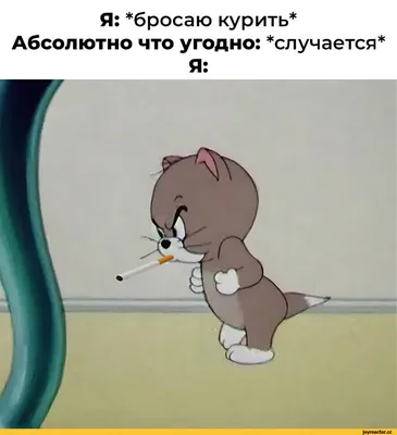 Я: *бросаю курить* Абсолютно что угодно: *случается* Я: / смешные картинки  (фото приколы) :: картинка с текстом :: курение :: приколы для даунов /  смешные картинки и другие приколы: комиксы, гиф анимация, видео, лучший  интеллектуальный юмор. картинки