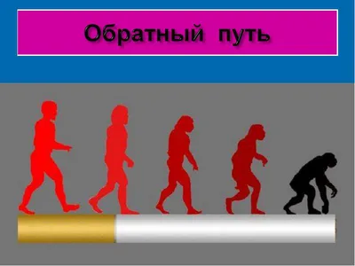 Появляется персонализированная реклама, но она отключена в настройках -  Форум – Google AdSense картинки