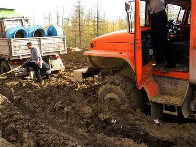 Открытка с именем Лена С днем рождения симпсон приколы. Открытки на каждый  день с именами и пожеланиями. картинки