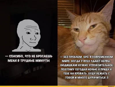 Кружка Сувенириус \"Прикольные надписи Мотаю нервы сколько вам клубочков?  (Бренд Сувенириус)\", 330 мл, 1 шт - купить по доступным ценам в  интернет-магазине OZON (334247897) картинки