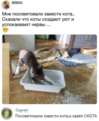 Приколы в фэйсбуке added a new photo. - Приколы в фэйсбуке картинки