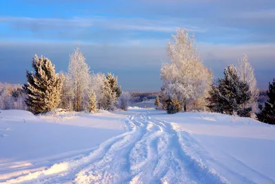 Якутия :: Россия :: страны :: зима :: Природа (красивые фото природы: моря,  озера, леса) / смешные картинки и другие приколы: комиксы, гиф анимация,  видео, лучший интеллектуальный юмор. картинки