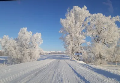 Зима природа декабрь - красивые фото картинки