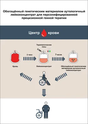 Подборка приколов | КОМИКСЫ И ЮМОР! | Дзен картинки