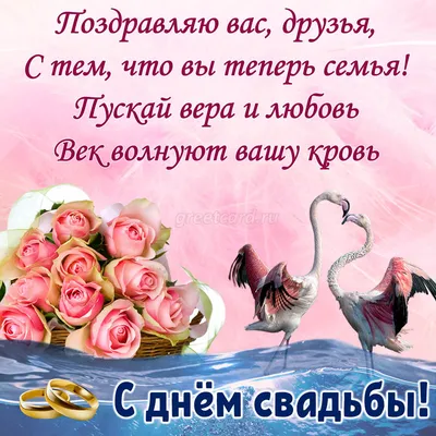 Открытка с днем свадьбы прикольная и смешная картинки