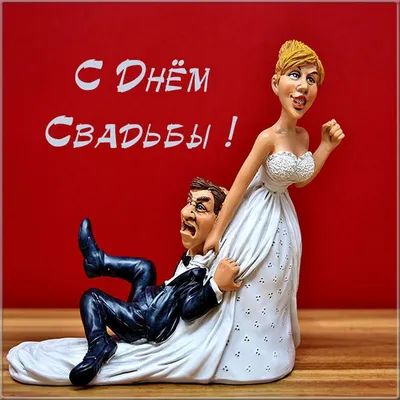 20 безумных и смешных свадебных фотографий, которые просто невозможно  объяснить логически картинки