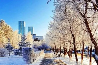 Зима для детей - фото и картинки: 54 штук картинки