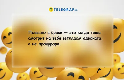 следователь привез уголовное дело прокурору｜Поиск в TikTok картинки