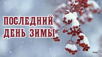 Прощай зима! Радостные открытки и веселые стихи в Последний день зимы 28  февраля | Курьер.Среда | Дзен картинки