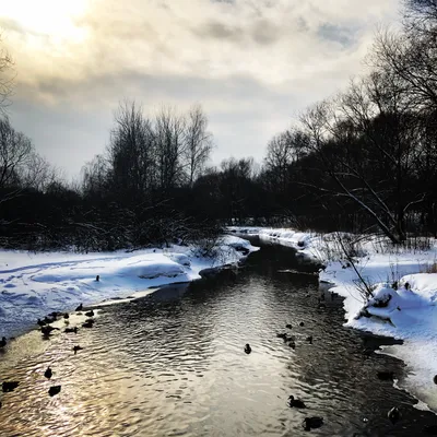 Письма из Зелёной Финляндии: [Фотопост] Прощание с зимой. Bye Bye, Winter! картинки