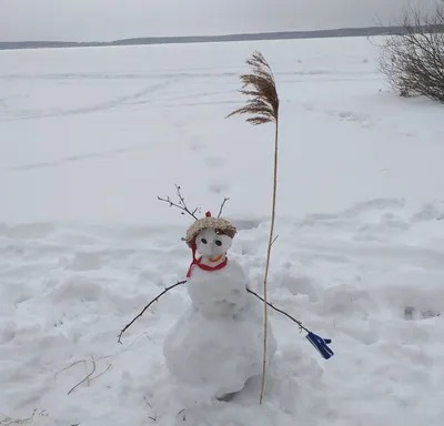 Вместе весело шагать: Прощание с зимой картинки