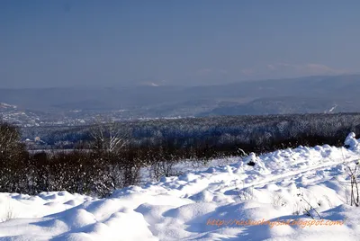 Картинки прощание с зимой картинки