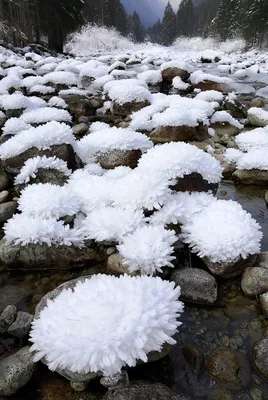 20 самых крутых фотографий этой зимы, которые стоит посмотреть на прощание  | Winter landscape, Winter scenery, Winter pictures картинки