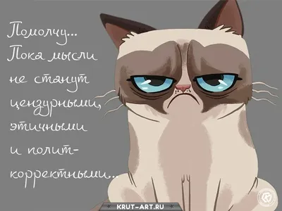 Анекдоты про семью и родственников — смешные семейные шутки и приколы -  Телеграф картинки