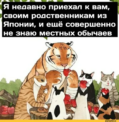 Троюродные родственники #стендап #standup #юмор #приколы | Instagram картинки