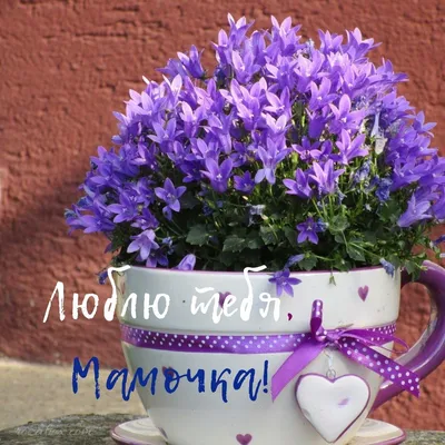Открытки с Днём Святого Валентина для мамы - RozaBox.com | Открытки,  Праздничные открытки, Мужские дни рождения картинки