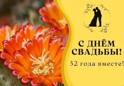 Медная свадьба! Юбилей свадьбы 32 года! - YouTube картинки