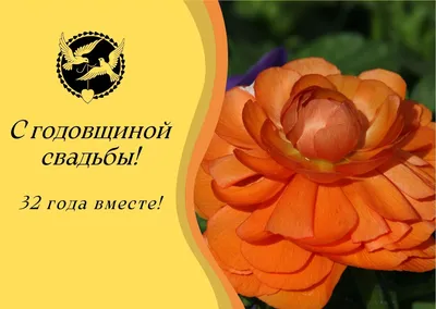 Поздравления с днем медной свадьбы - 72 фото картинки