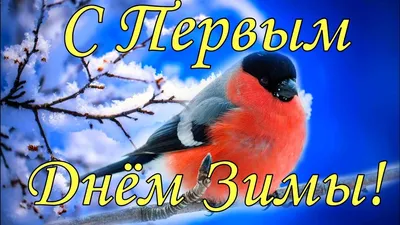 1декабря #первыйденьзимы #зима #декабрь #спервымднемзимы | TikTok картинки