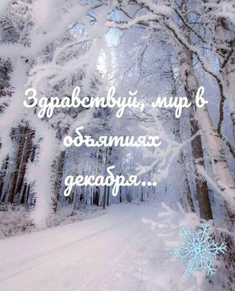 Ты моя зимняя зима мое зимнее лето. Чудесного зимнего дня. Зимние пейзажи с пожеланиями. Доброй зимы. Христианские пожелания с зимним пейзажем.
