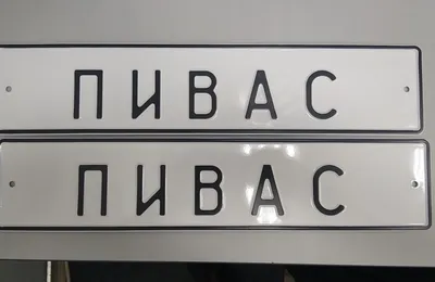 Пакет с приколами, полиэтиленовый с вырубной ручкой, «Старость тебе к  лицу», 31 х 40 см, 60 мкм купить, отзывы, фото, доставка - КАПУСТА │  Совместные картинки