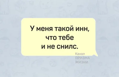 Не засмеётся🤣 только нерусский! Новые народные🔥 слова и актуальные приколы  об изменениях жизни | Призма жизни | Дзен картинки