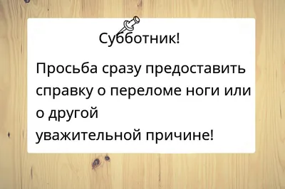 смехдослез #юмор #анекдот #лиса #субботник #раскладушка | TikTok картинки