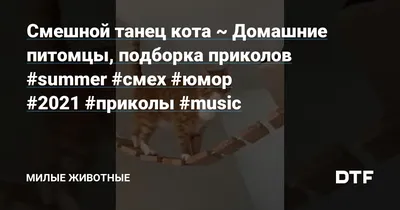 танцы / смешные картинки и другие приколы: комиксы, гиф анимация, видео,  лучший интеллектуальный юмор. картинки